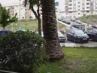 Sampler negro 9 meses