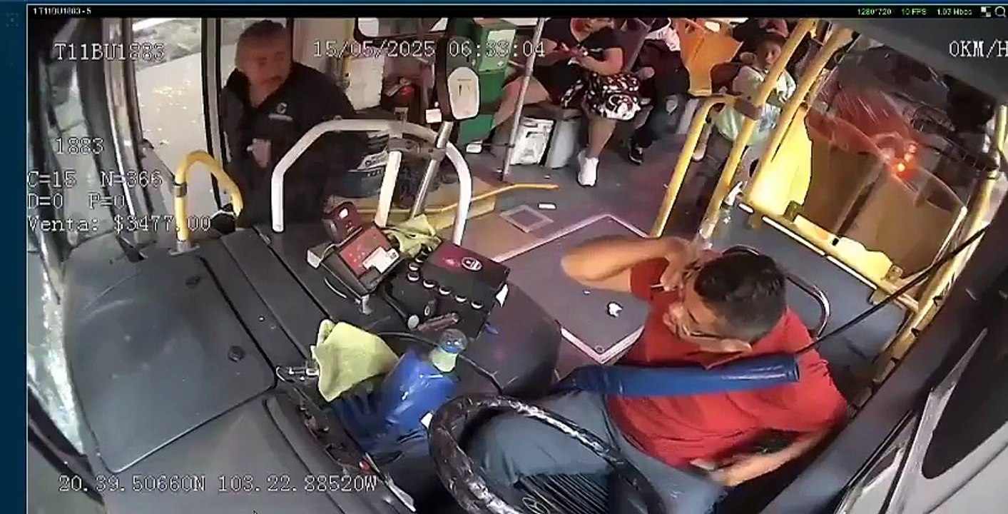 chofer de transporte público