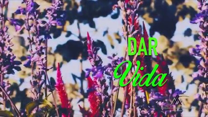 20 Vocación al matrimonio