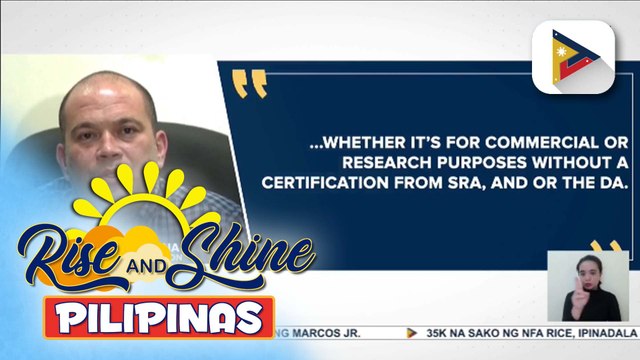 SRA, humirit ng “emergency powers” para mapigilan ang pagkalat ng Red-Striped Soft Scale Insects sa mga taniman ng tubo sa Negros Occidental