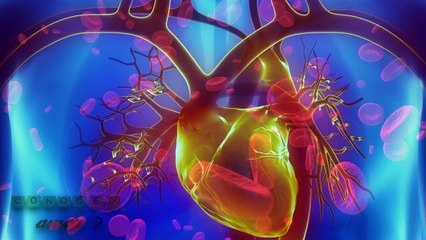 21-¿Qué sucede después de la muerte