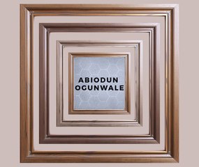 🧠 Abiodun Ogunwale: A Community Leader Making a Difference in Virginia