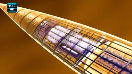 Werner Von Braun: The Original Rocket Man