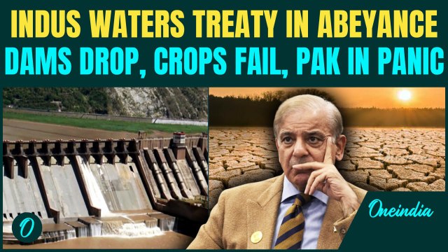Pakistan Faces Severe Water Crisis As Indus Waters Treaty Still In Abeyance | Punjab Hit Hardest