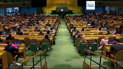 Le notizie del giorno | 03 giugno - Mattino