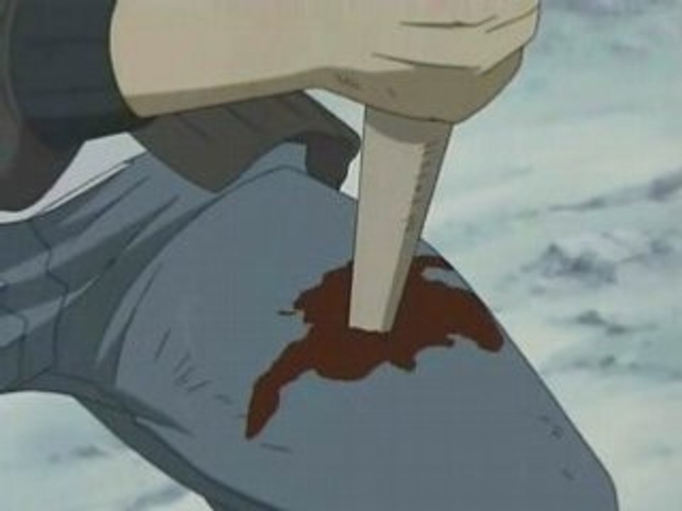 AMV - Wolf's Rain