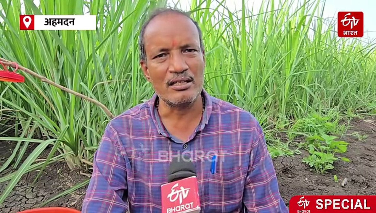 लाखो रुपयांचं आर्थिक नुकसान करणाऱ्या हुमणी विरोधात शेतकऱ्याचं 'ब्रह्मास्त्र'; जाणून घ्या, शेतीचं सोपं तंत्र