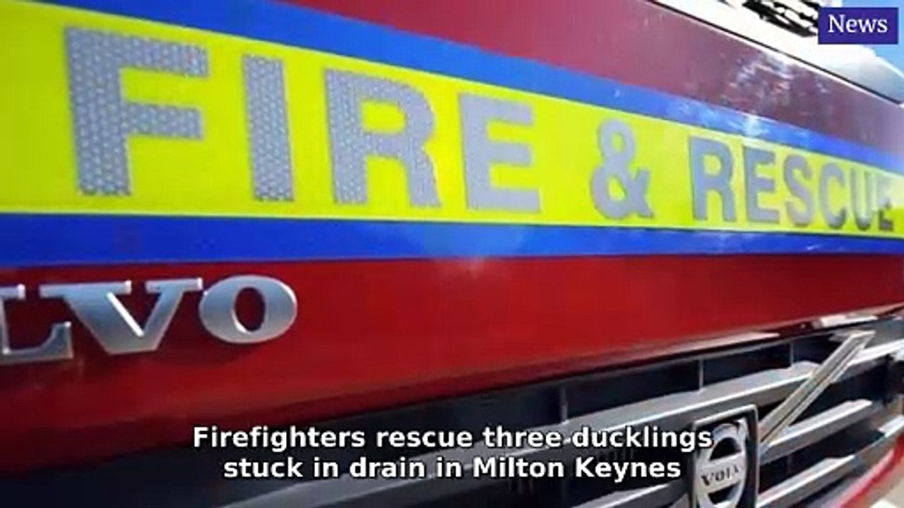 Milton Keynes Citizen Morning Update 3 June, 2025