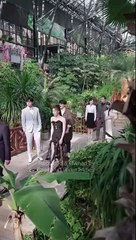 Black Rose Full Chinese Drama