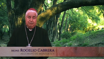 11 8vo mandamiento No darás falso testimonio ni mentirás