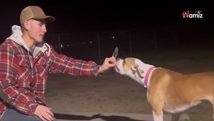 Elle découvre une bosse sous la peau de son chien : elle comprend immédiatement qu'il s'agit d'un terrible indice