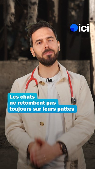 Les chats ne retombent pas toujours sur leurs pattes