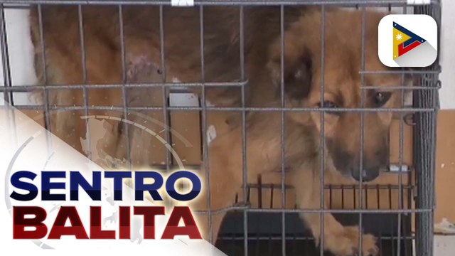 Ilang mahahalagang panukalang batas, lusot na sa pagbabalik-sesyon ng Senado; panukalang Government Optimization Act, kabilang sa mga inaprubahan