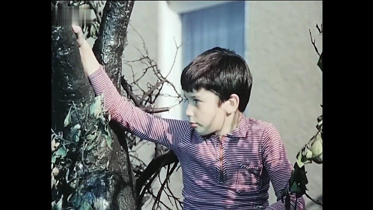 Plantagenstrasse 19 (DDR 1979)