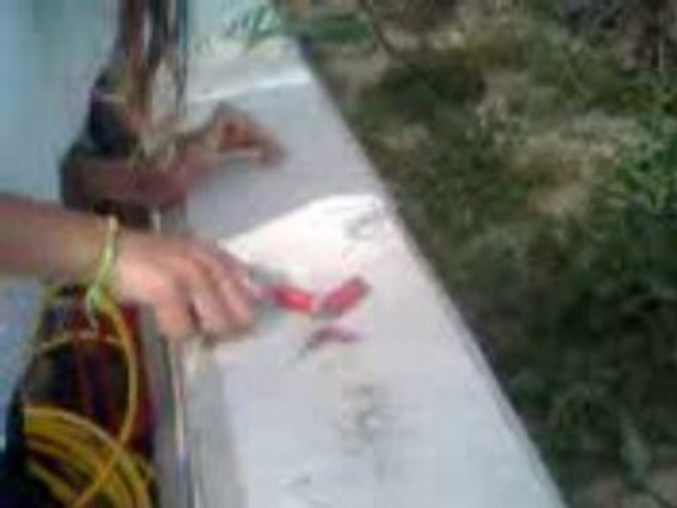 les chalumaux de léa.