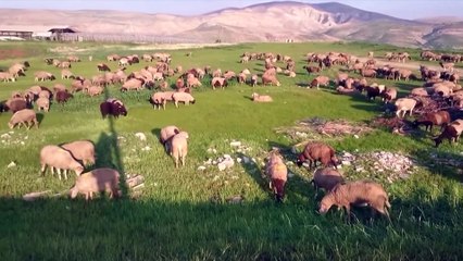 01 El Cordero de Dios