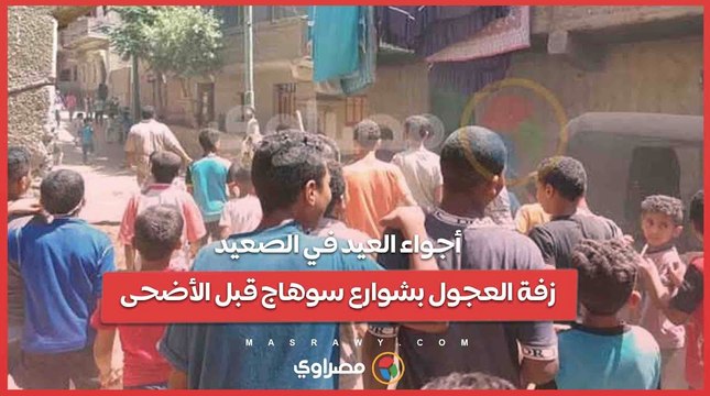 أجواء العيد في الصعيد.. زفة العجول بشوارع سوهاج قبل الأضحى…