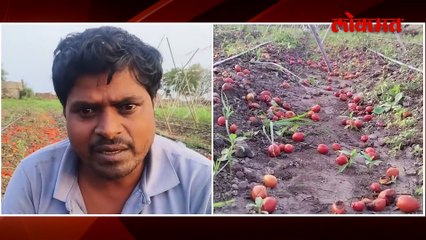 शेतात आई-बाप, बायको पोरं राबले, पण सात लाखाचा चिखल, हवालदिल शेतकऱ्याचा आक्रोश का ?