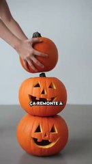 pourquoi des citrouilles à Halloween ?