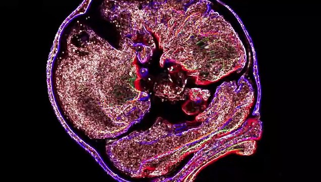 Tranced and Psychedelisized #78 - June 3, 2025