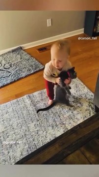 Cat vs cute baby's new viral funny video 😂📸 baby love 😘❤️ cat lover 😍 animals love 😘 funny baby 😂#shorts #shortvideos #viralvideos #viralshort #funnyvideos #funny #comedy #kids #baby #cat #animals #love #care
