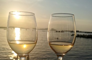 Scientist claims that people should only drink one glass of wine a year