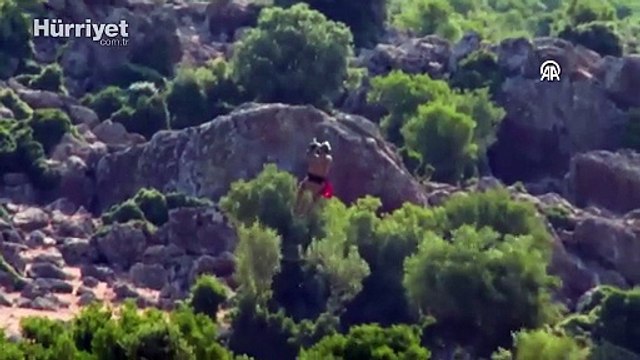 Anadolu Yıldızı 2025 Müşterek Arama Kurtarma Tatbikatı'nın fiili bölümü tamamlandı