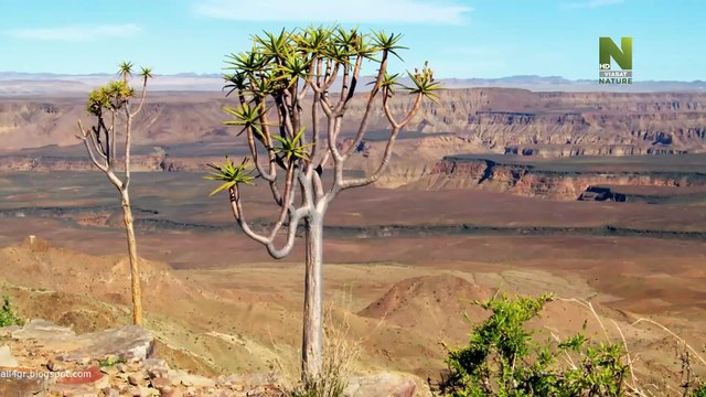 Αχανής Αφρική - Έρημος Ναμίμπ (Namib Desert)