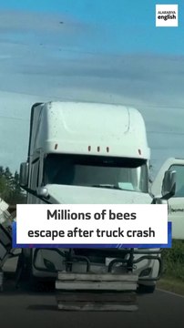 Millions of bees escape after truck crash