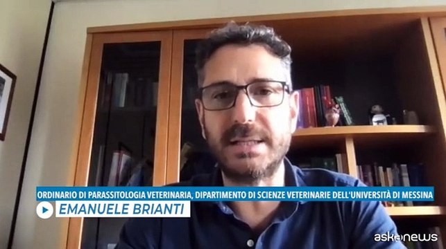 Un indice sui parassiti per proteggere gli animali domestici