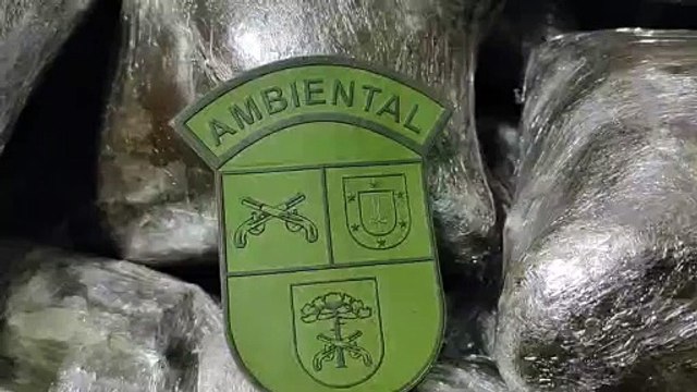 Polícia Ambiental apreende maconha escondida em pó de café em ônibus em Alto Paraíso