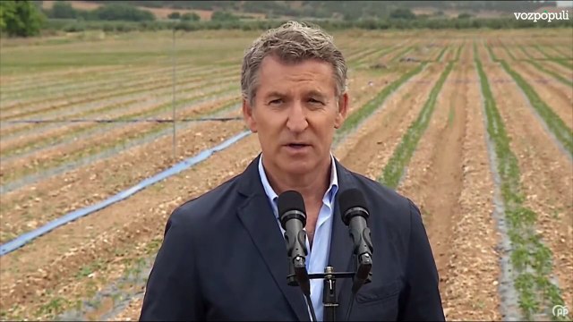 Feijóo: Los Koldos, los Ábalos, las Jéssicas... todas nos llevan a Sánchez