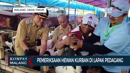 Pastikan Hewan Kurban Sehat, Dispangtan Datangi Lapak Pedagang