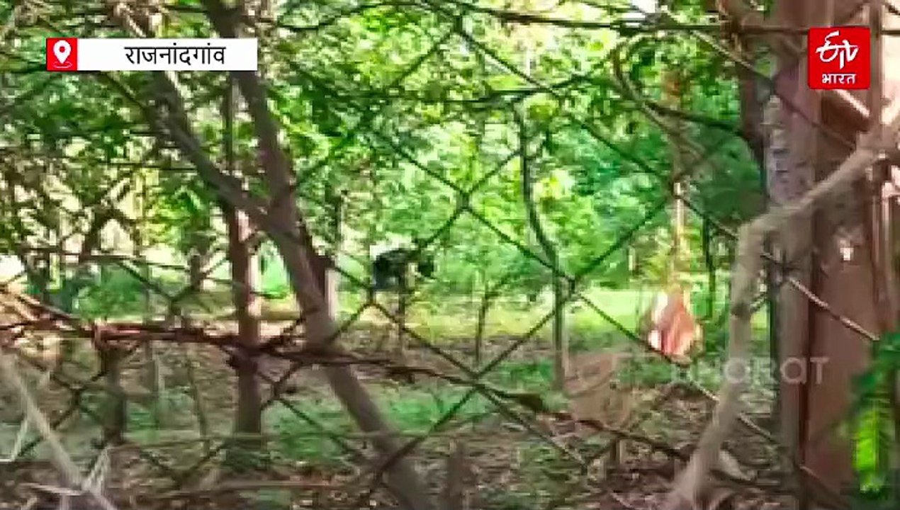 गांव में भालू की मौजूदगी से दहशत, वनविभाग  ने कराई मुनादी