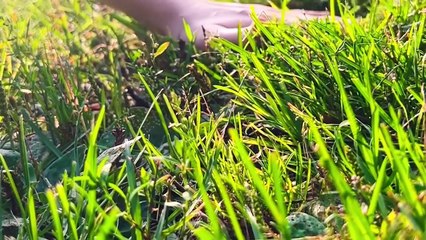 Der Teaser-Trailer von WalkScape zeigt, worauf es ankommt: Ihr müsst laufen, um zu Looten