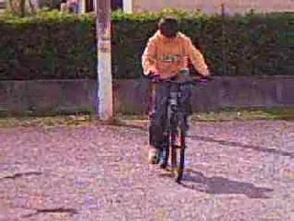 moi stoit