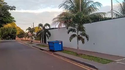 Cadela fica presa em cano de muro e é resgatada por bombeiros