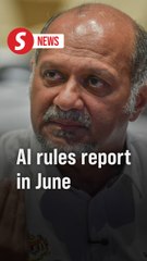 AI regulatory framework in the works, full report due by end June, says Digital Minister