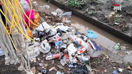 देवनारच्या कत्तलखान्यावरुन मनसे आक्रमक का झाली? काय घडतंय?