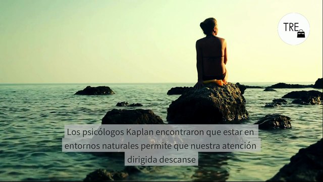 El mar no sólo te relaja haciéndote olvidar el trabajo. Un estudio demuestra que también trae beneficios a tu cerebro