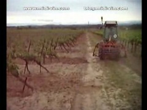 Labour de la vigne en Languedoc-Roussillon (mai 2008)