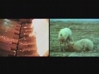 SAEZ Jeunesse lève-toi (version courte)