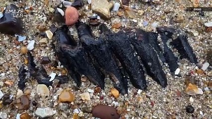 This Person Found What in the Sand While Walking On the Beach!
