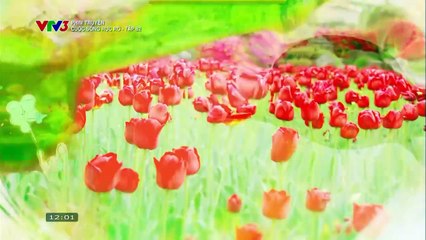 CUỘC SỐNG RỰC RỠ - TẬP 82 - VTV3 THUYẾT MINH - PHIM HÀN QUỐC - CUOC SONG RUC RO