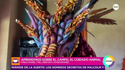 Una reconfortable visita a la Finca Pamel: ¡Mira lo que encontramos!