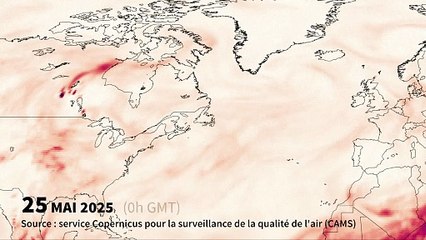 CARTE ANIMEE - Les fumées des incendies au Canada visibles en Europe