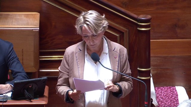Municipales à Paris, Lyon et Marseille : le Sénat dit non à la réforme du scrutin