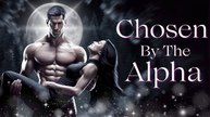 Chosen By The Alpha King – Full Movie [EngSub]