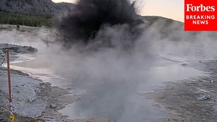 Video Captures Hydrothermal Explosion At Yellowstone National Park