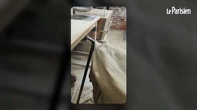 Souris, saleté, désordre la manufacture Poilâne ferme en urgence